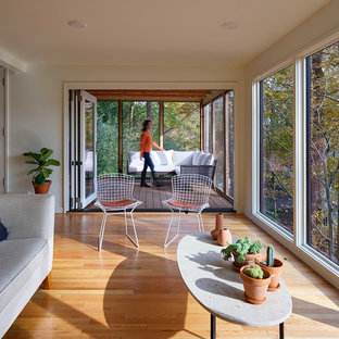 75 Beautiful Midcentury Modern Sunroom Pictures Ideas Houzz