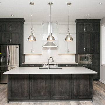Modern/Contemporary Home