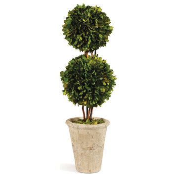 Boxwood Double Sphere Topiary, 20"