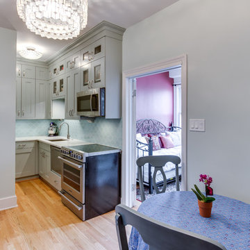 Historic D.C. Condo Kitchen