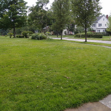 Shaker Hts.