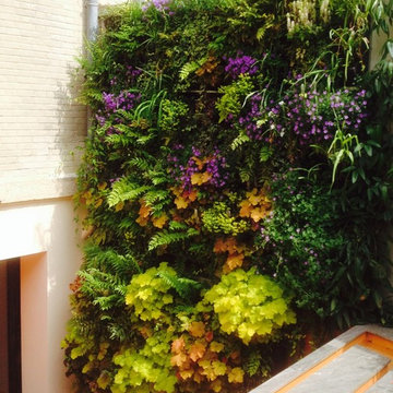 Jardin de ville