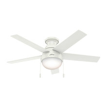 Ceiling Fans