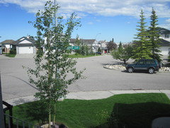 modern landscape ideas for small corner lot