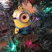 Stacie Kremper's photo