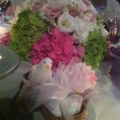 Jale öncü's photo