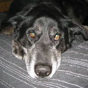 Marcie Lynee's photo