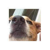 Dannys foto