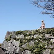 Foto de 豊田景弘
