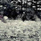 Tyler Strebさんの写真