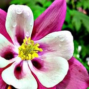 Denise Morozov's photo