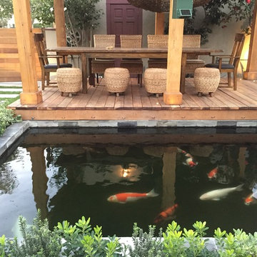 Koi pond