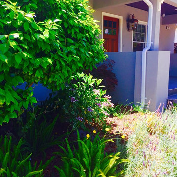 Burlingame - Low water-use Traditional California