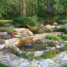 ponds