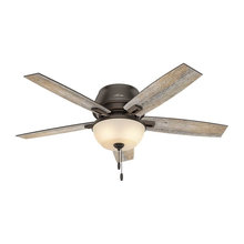 Family Room Ceiling Fan