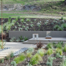 Rain Garden