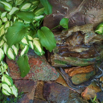 Vancouver Rain Garden Patio & Water Feature