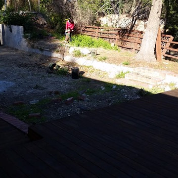 Backyard BEFORE
