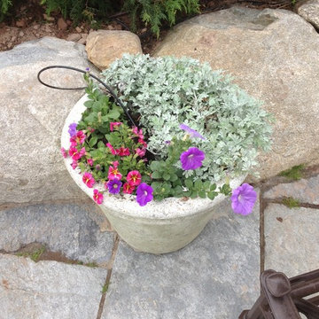 Seasonal Container Plantings & Changeovers