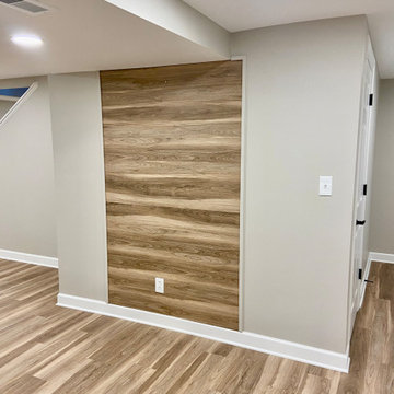 Modern Basement Remodel