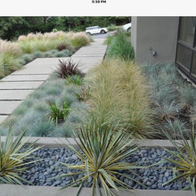 D’Anca Landscape Ideabook
