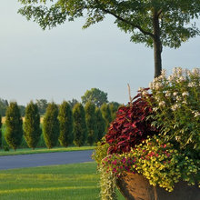 Exterior Ideas