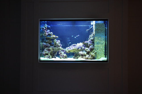 integrated fish tank