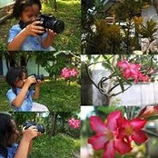 Foto von Nana Hanafi