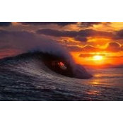 Lisa Oldroyd's photo