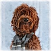 Steve Ahrens's photo