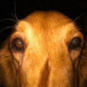 Alice Ruble's photo