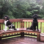Debbie Demakis's photo