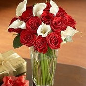 Amal Al-Habsi's photo