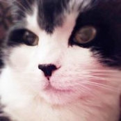 Kiz Dullz's photo