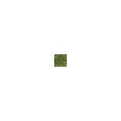 Michael Glezerson's photo