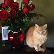 Marilyn DeWitt's photo
