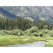 Erin Searfoss's photo