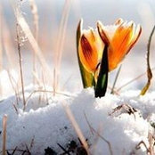 Jean Matuszczak's photo