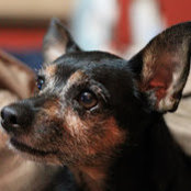 Emily Sherry's photo