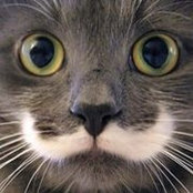 Harvey Brockman's photo