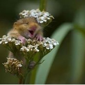 Flavia Gamba's photo