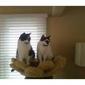 Jessi Kingston's photo