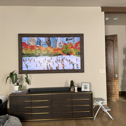 Special Projects - Highlands Ranch - Home Electronics