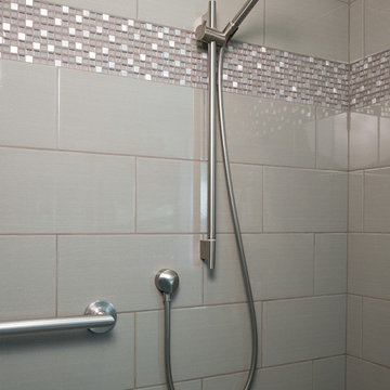 Monorail Silver - Master Bath Remodel