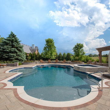 Elgin, IL Roman End Pool with Freeform Hot Tub