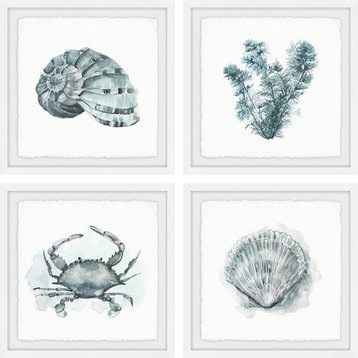 "Sea Life Quadriptych" Framed Painting Prints, 36"x36", 4-Piece Set