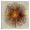 "Bronze Sunburst I" by Abby Young, Canvas Print, 18"x18"