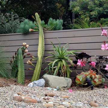 Conscious Stream Scape- Silverlake