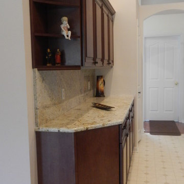 Citrus Park Kitchen Refacing Remodel - February 2014