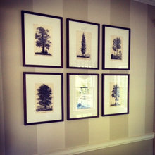Decor
